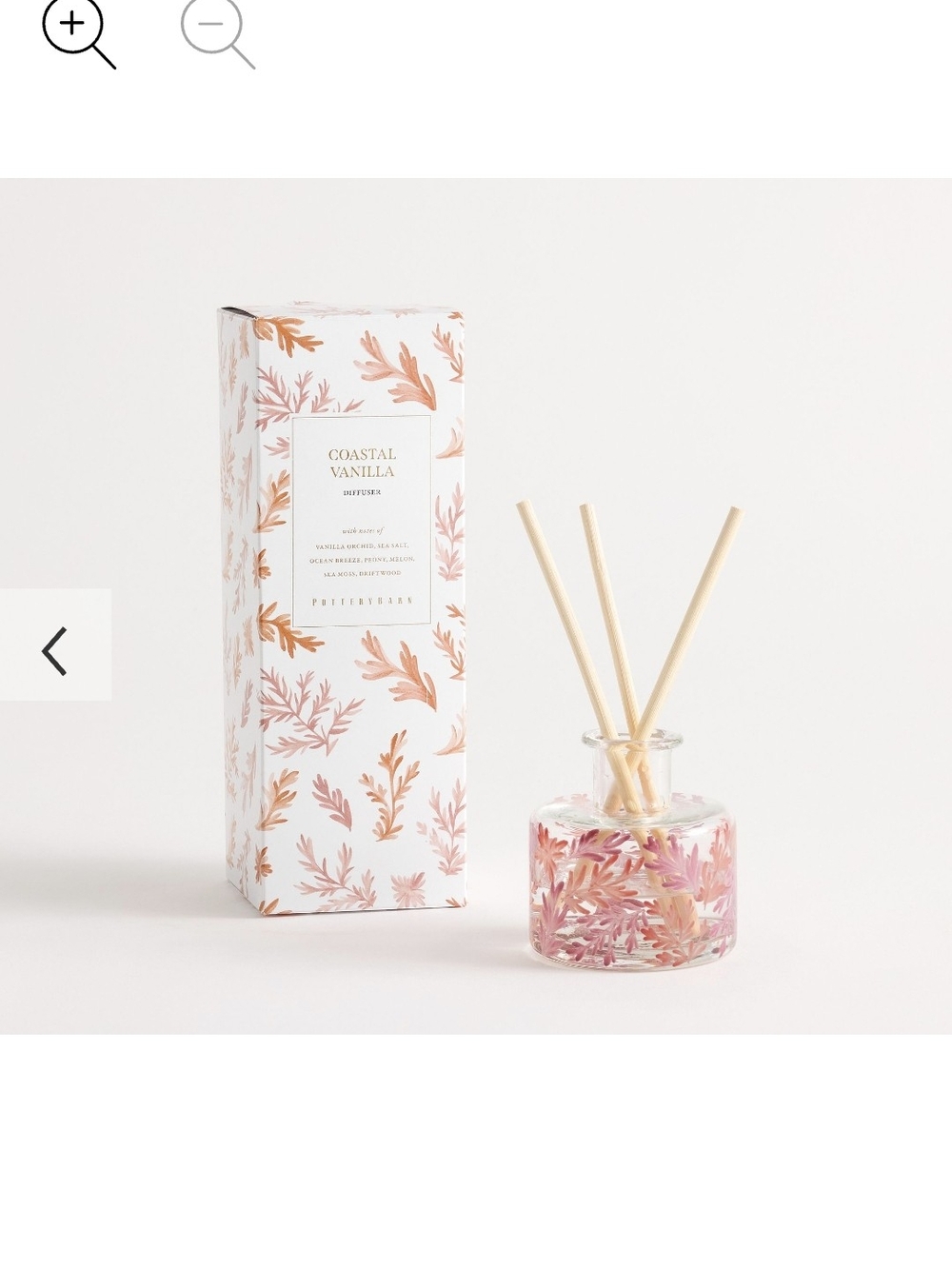 Pottery Barn Hand Painted Coastal Scent Collection Coastal Vanilla Reed Diffuser